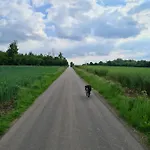 La Petite Beurrerie Des Ardennes Casa de Férias *