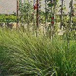 La Petite Beurrerie Des Ardennes Casa de Férias *