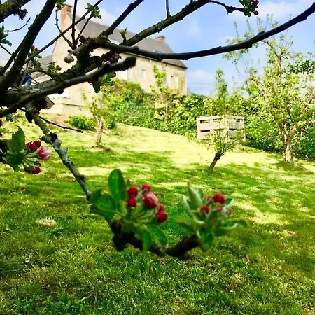 La Petite Beurrerie Des Ardennes Feriehus