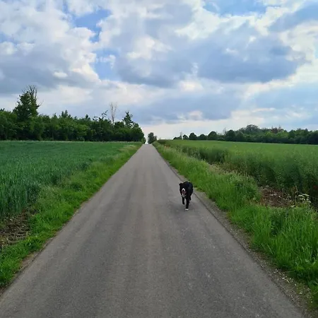 La Petite Beurrerie Des Ardennes Vakantiehuis *