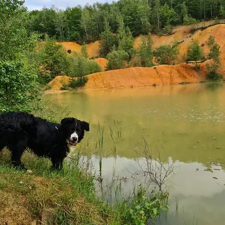 La Petite Beurrerie Des Ardennes Feriehus Celles (Namur)