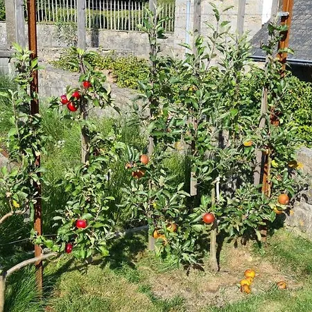 Prázdninový dům La Petite Beurrerie Des Ardennes *