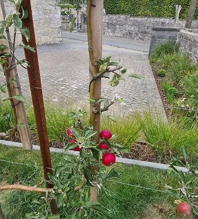 La Petite Beurrerie Des Ardennes * Celles (Namur)