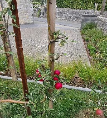 La Petite Beurrerie Des Ardennes * Celles (Namur)