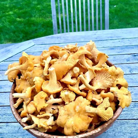 La Petite Beurrerie Des Ardennes *