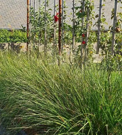 La Petite Beurrerie Des Ardennes Prázdninový dům *