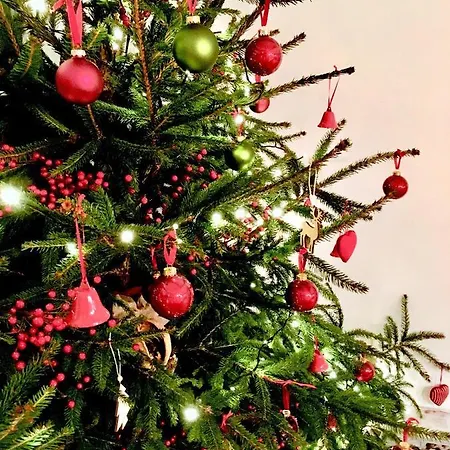 La Petite Beurrerie Des Ardennes Feriehus Celles (Namur)