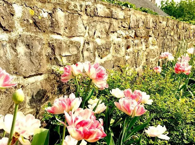 La Petite Beurrerie Des Ardennes *