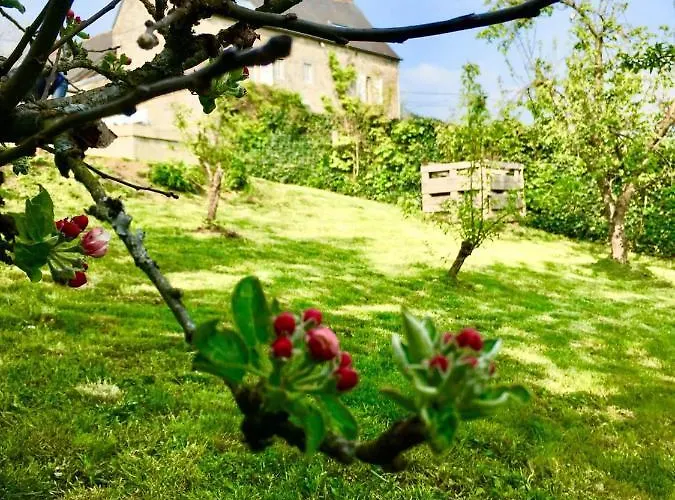 La Petite Beurrerie Des Ardennes Prázdninový dům