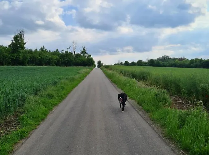 La Petite Beurrerie Des Ardennes Prázdninový dům *