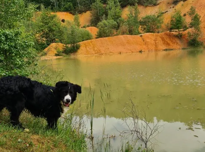 La Petite Beurrerie Des Ardennes Prázdninový dům Celles (Namur)