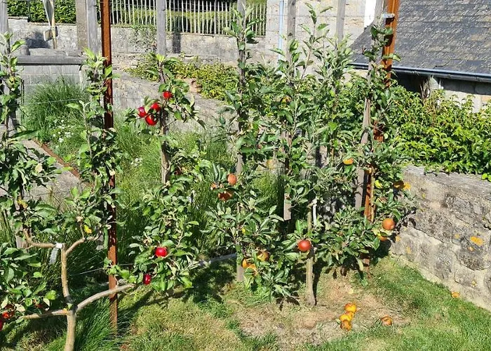 Prázdninový dům La Petite Beurrerie Des Ardennes *