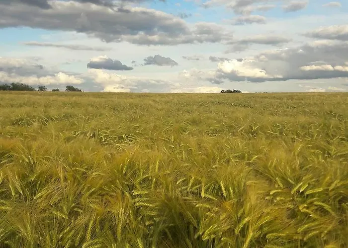 La Petite Beurrerie Des Ardennes
