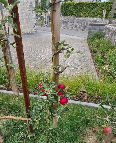 La Petite Beurrerie Des Ardennes * Celles (Namur)