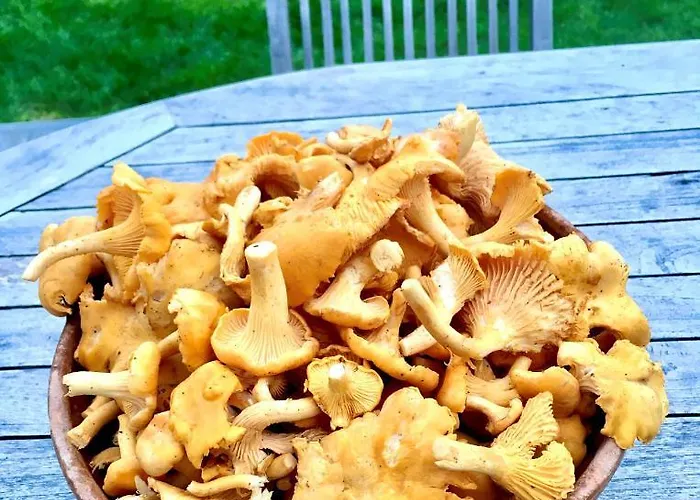 La Petite Beurrerie Des Ardennes *