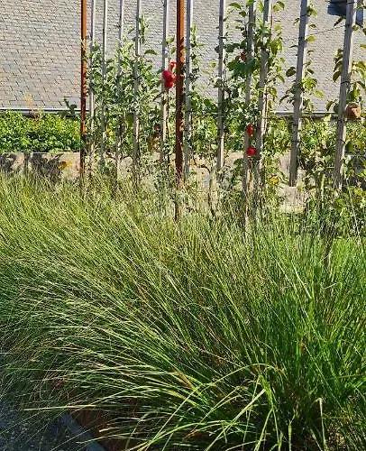 La Petite Beurrerie Des Ardennes Prázdninový dům *