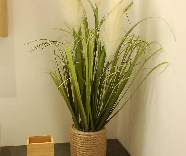 La Petite Beurrerie Des Ardennes Prázdninový dům Celles (Namur)